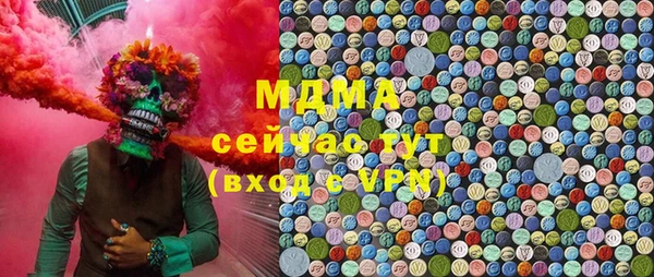 прущие грибы Переславль-Залесский