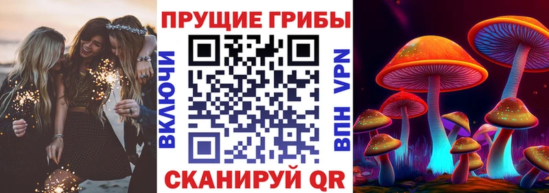 Псилоцибиновые грибы Cubensis  где купить наркоту  MEGA   Екатеринбург 